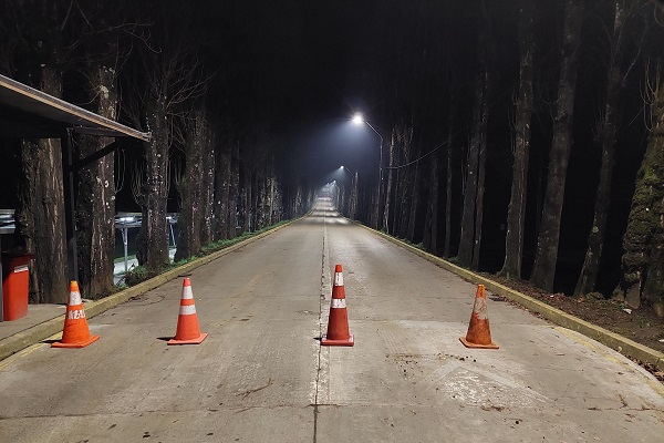 Emblemática Alameda luce más iluminada con recambio a tecnología LED