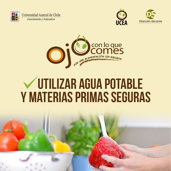 Campaña “Ojo con lo que comes”: Llaman a tener presente manipulación de alimentos para evitar intoxicaciones