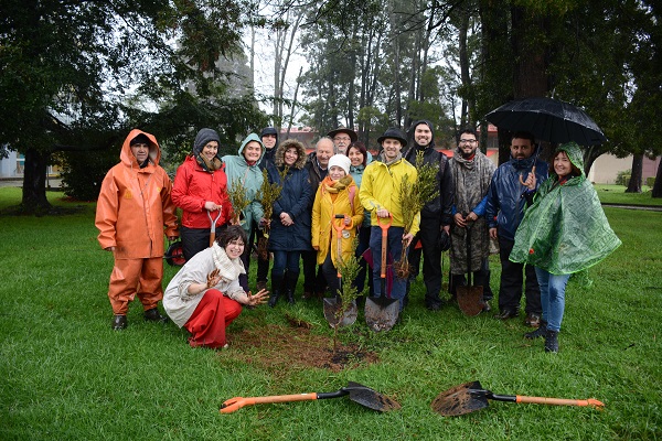 Estudiantes de la UACh plantaron 300 árboles en campus de Valdivia