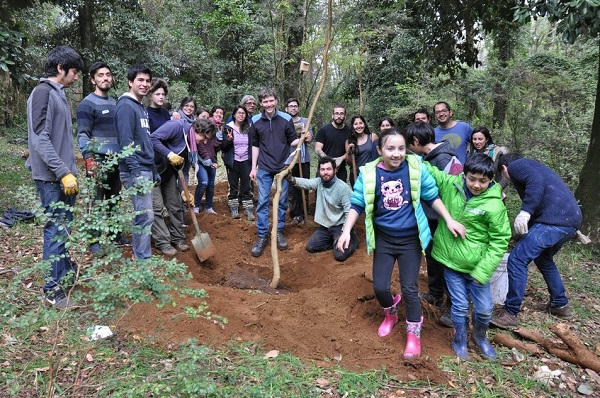Asistentes del taller dictado por la UGA valoraron aprendizajes sobre plantación de árboles
